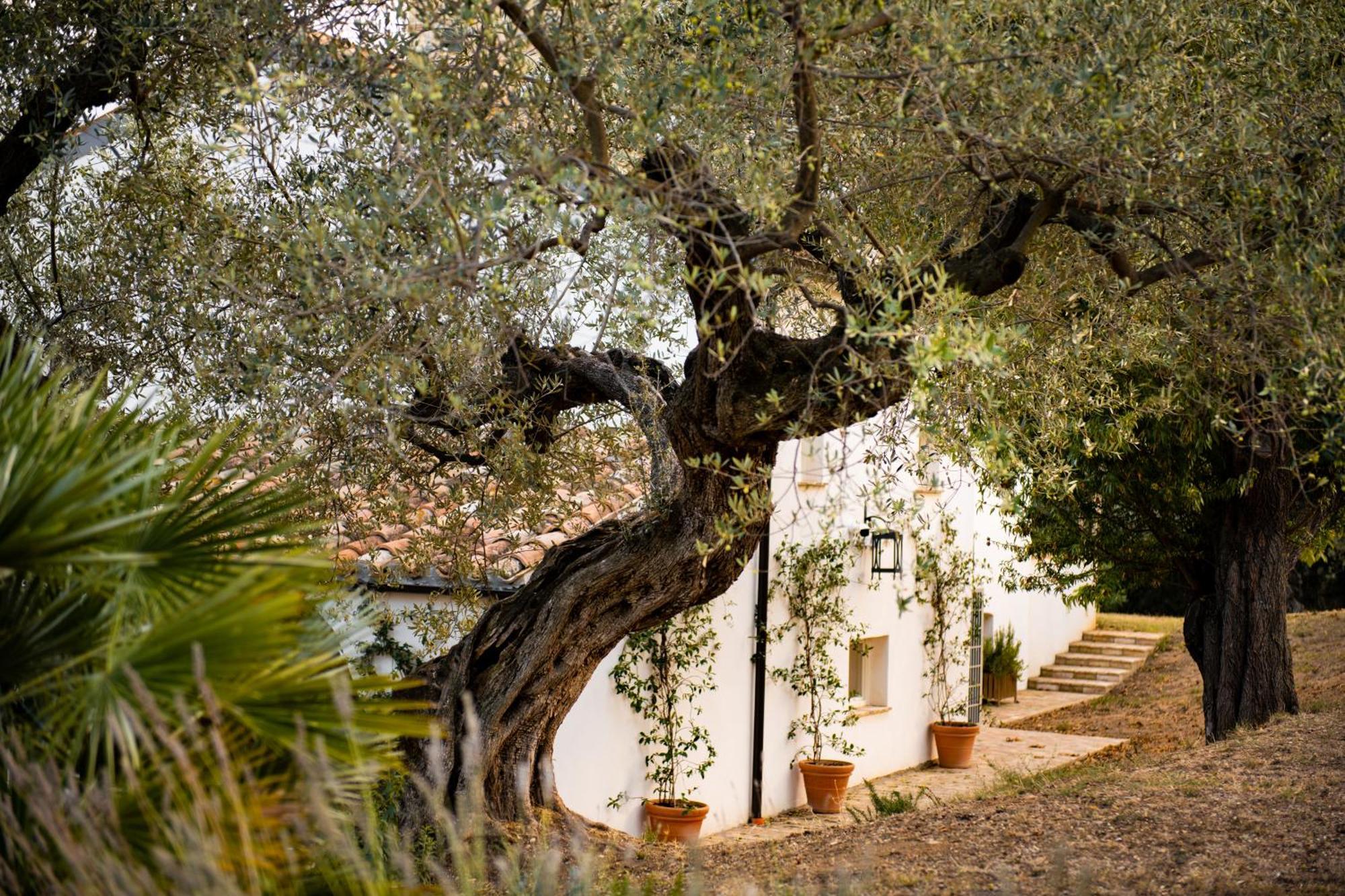 Casale Delle Lavande Citta Sant'Angelo Luaran gambar